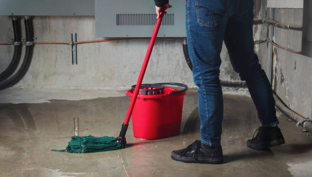 Best Ceiling water damage repair  in Grifton, NC