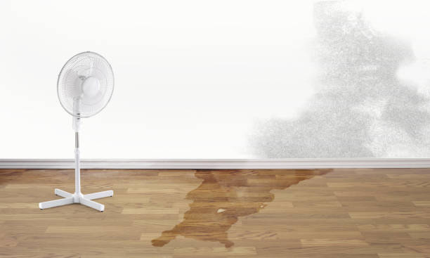 Best Flood restoration services  in Grifton, NC
