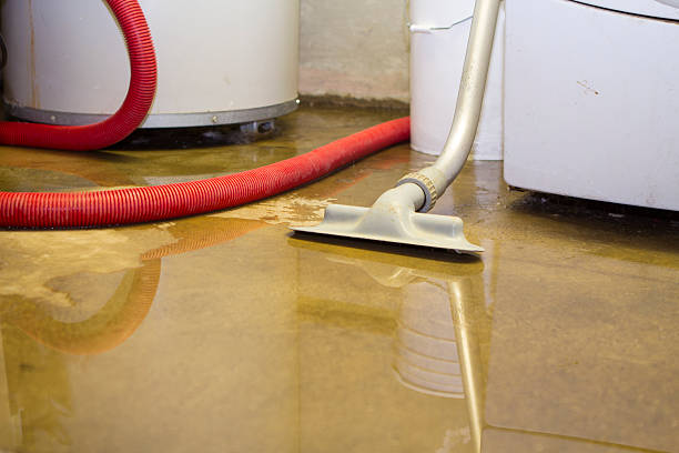 Best Emergency water damage restoration  in Grifton, NC