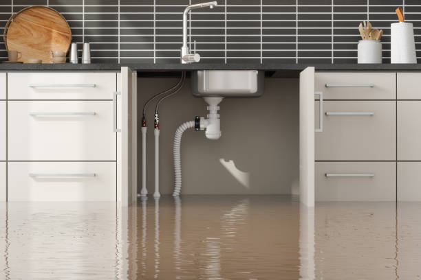 Best Emergency water damage restoration  in Grifton, NC