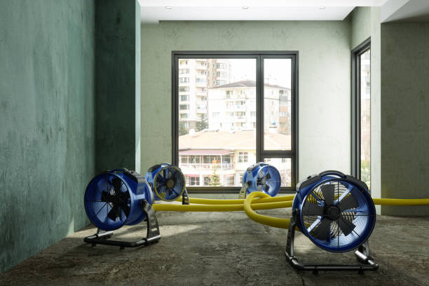 Best Residential water damage restoration  in Grifton, NC