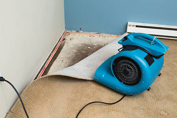  Grifton, NC Water damage restoration Pros